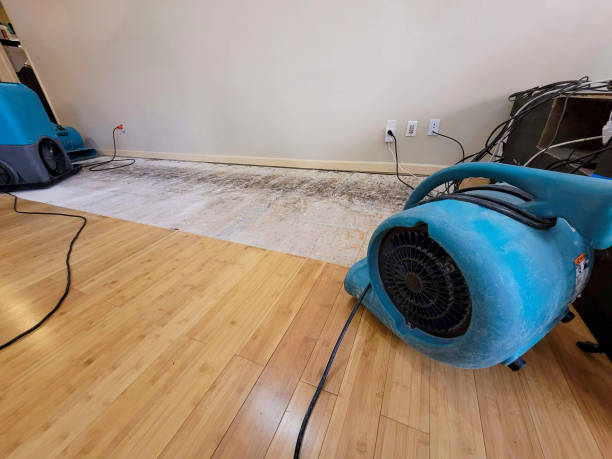 Professional Emergency Water Damage technician working in Cologne, NJ